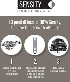 Hoya Sensity