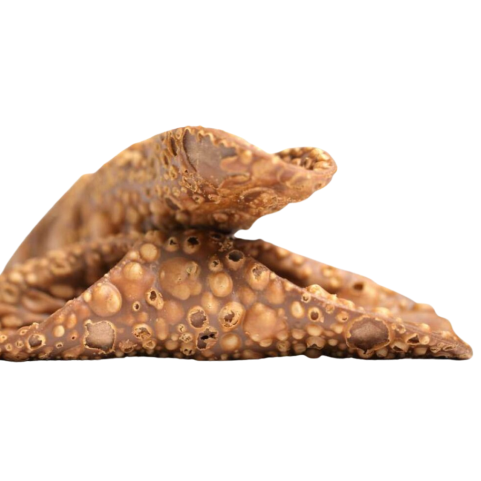 Bucce di cannoli siciliani artigianali