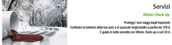 Tagliando Autunnale Winter Check Up