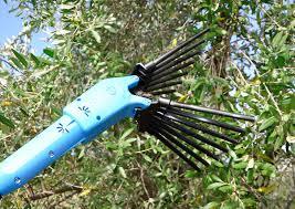 Pettine elettrico Lisam Oliveco Lisam Oliveco