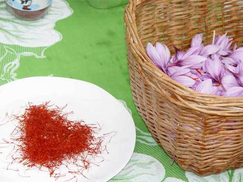 Lo Zafferano Ennese in Sicilia, Dicono di Noi! Oro Rosso di Sicilia