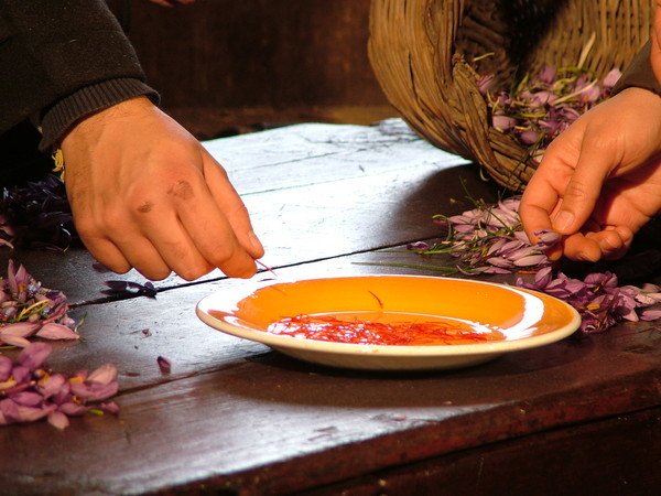 Lo Zafferano in Sicilia, Safron Oro Rosso di Sicilia