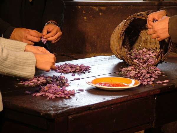 Lo Zafferano in Sicilia, Safron Oro Rosso di Sicilia