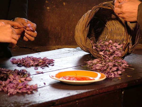 Lo Zafferano in Sicilia, Safron Oro Rosso di Sicilia