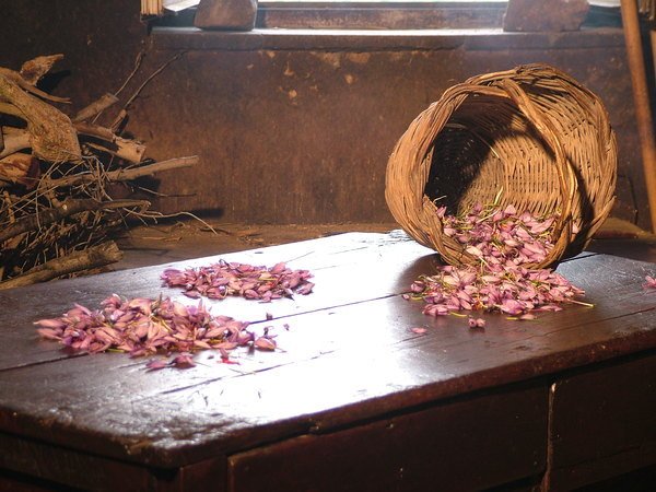 Lo Zafferano Siciliano Ennese Safron Oro Rosso di Sicilia