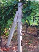 PALI IN CEMENTO PER VIGNETI E RECINZIONI ADRANO CALCESTRUZZI SRL