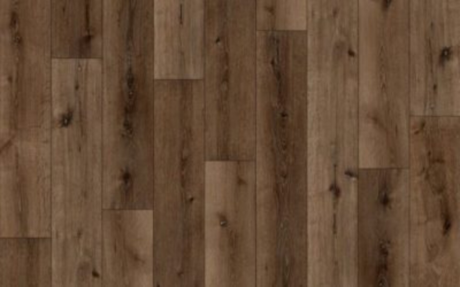 Excelso Floor L Rg distribution Pavimenti in espc