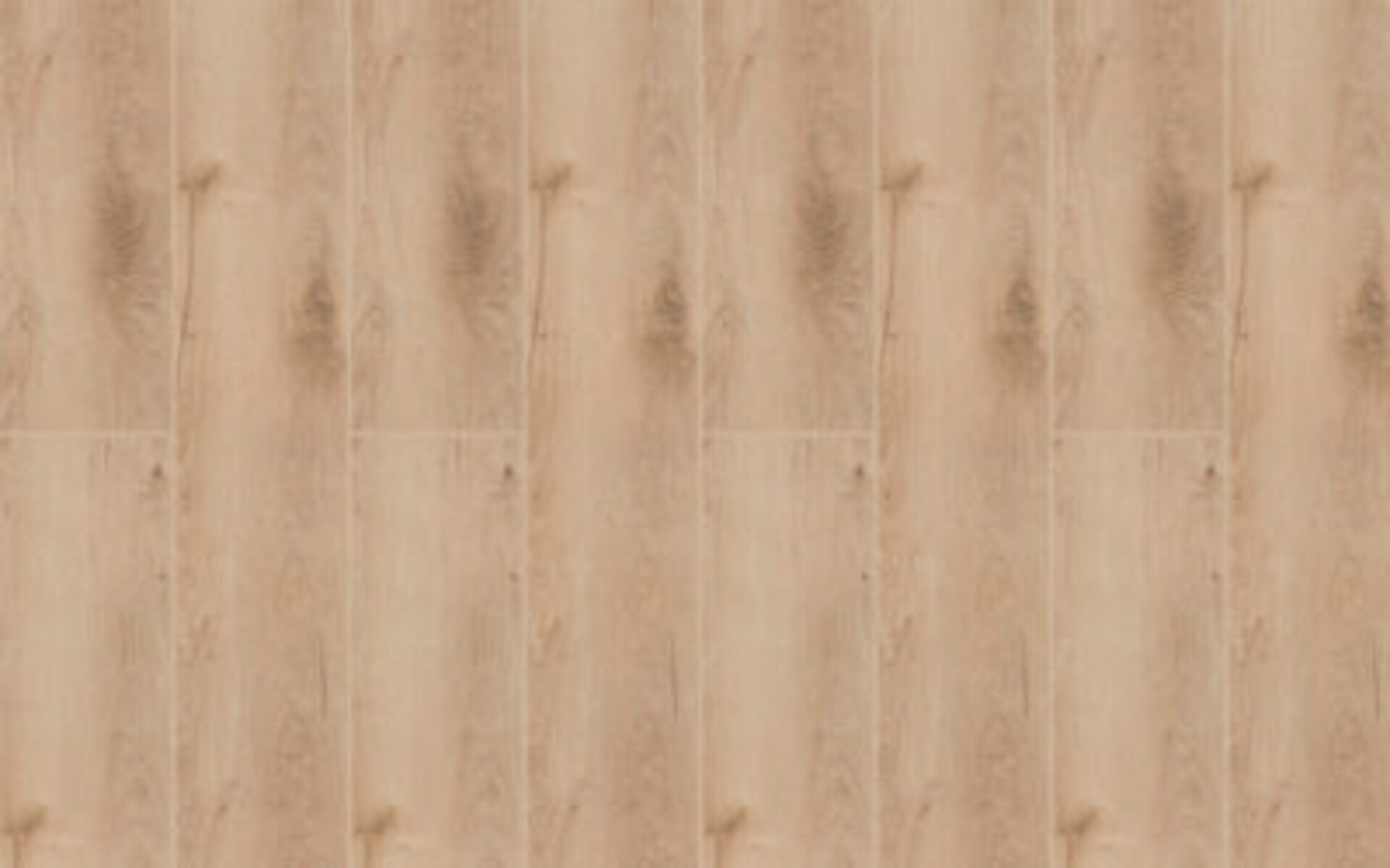 King Floor XL Rg distribution Pavimenti in spc
