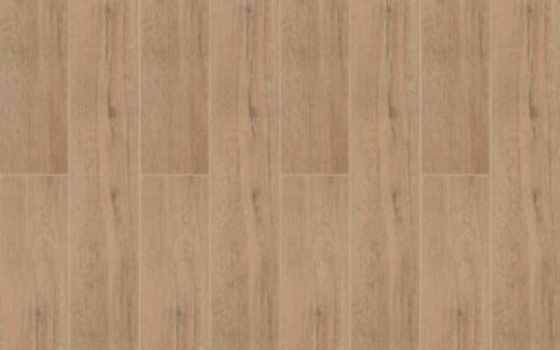 BeFloor Plus Rg distribution Pavimenti in spc