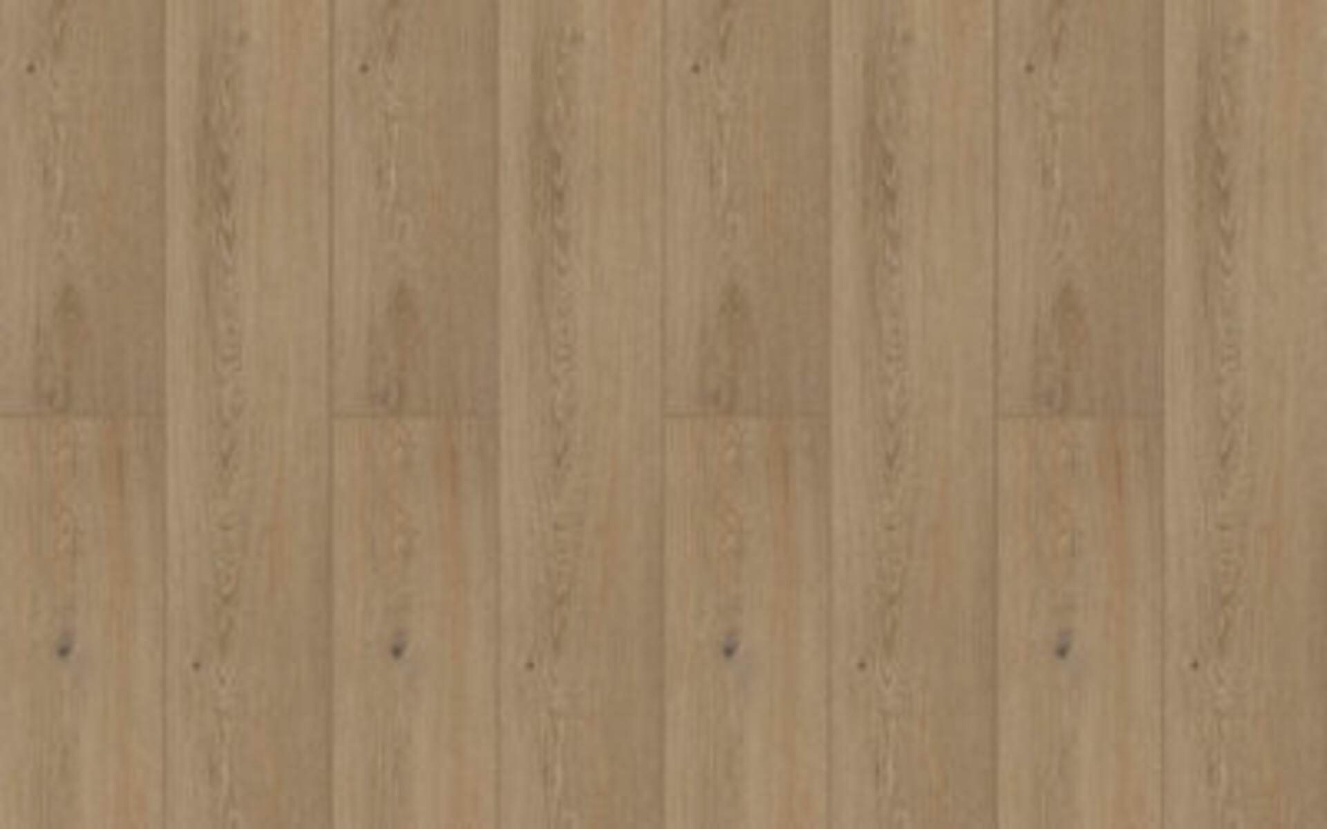 BeFloor Plus Rg distribution Pavimenti in spc