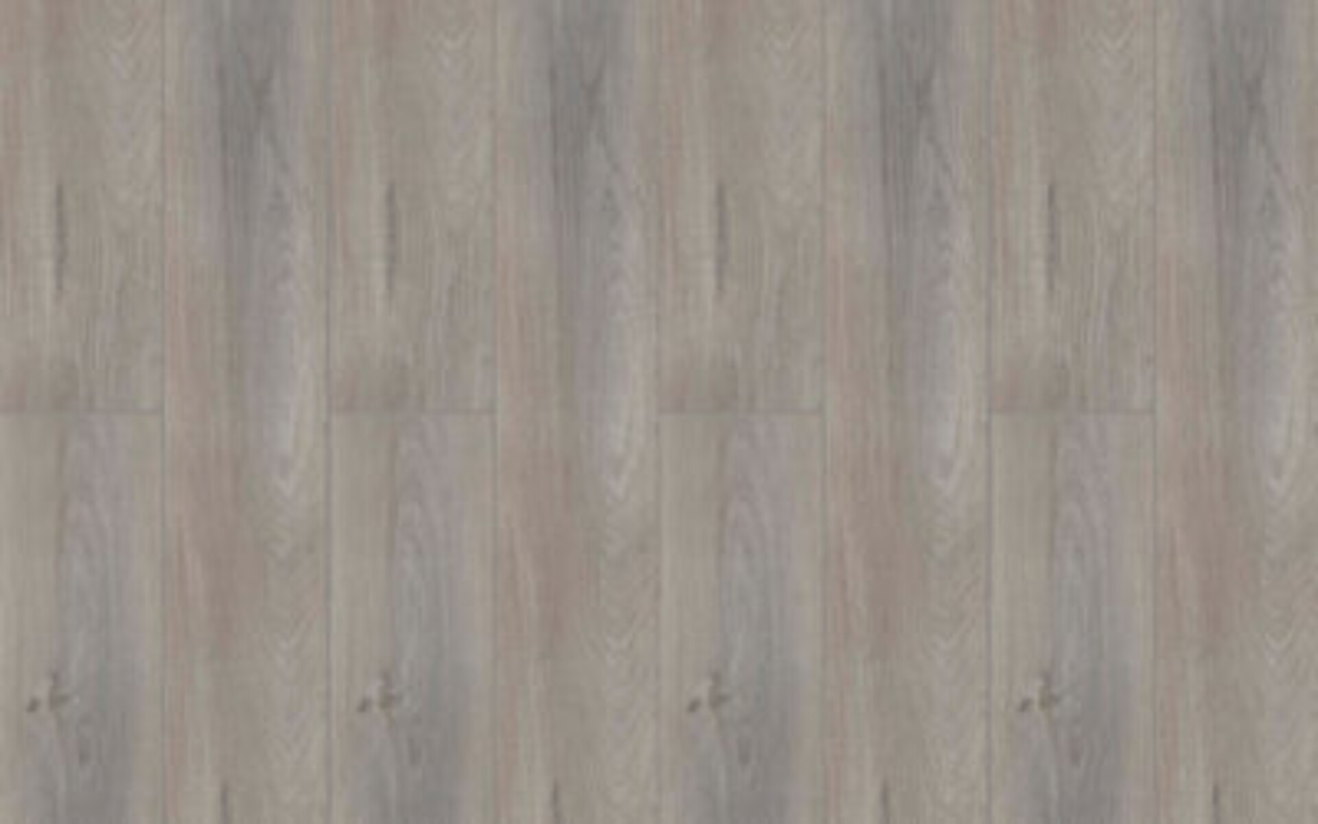 BeFloor Plus Rg distribution Pavimenti in spc