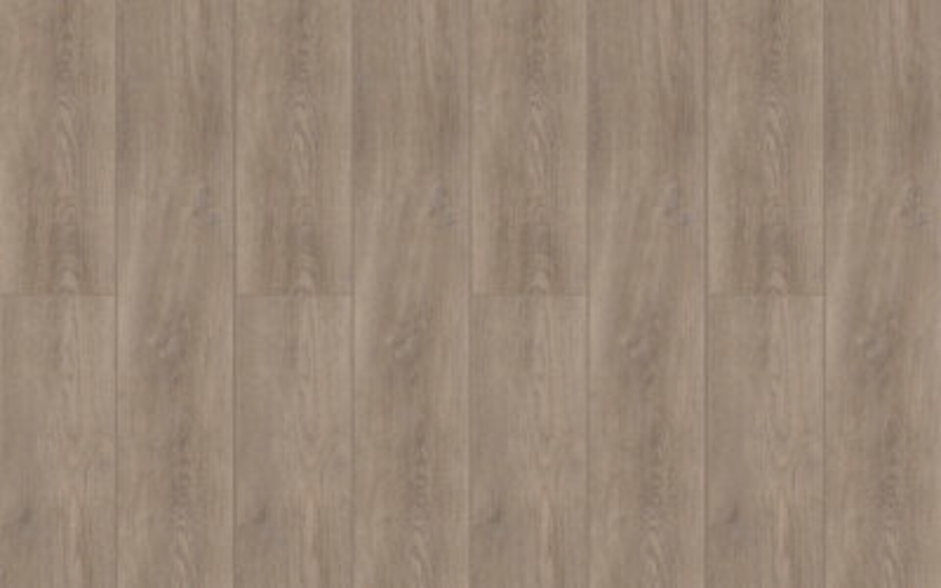 BeFloor Plus Rg distribution Pavimenti in spc