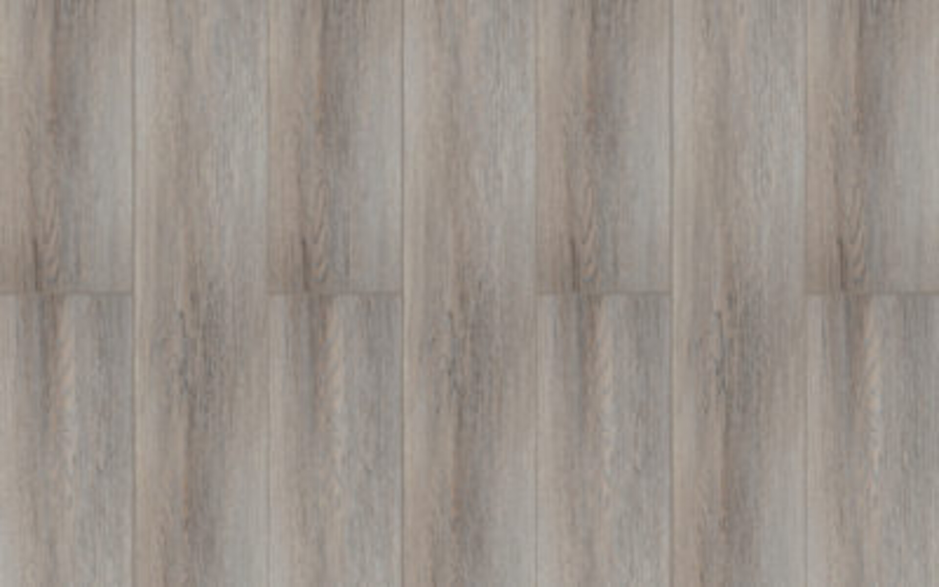 BeFloor Evo Rg distribution Pavimenti in spc