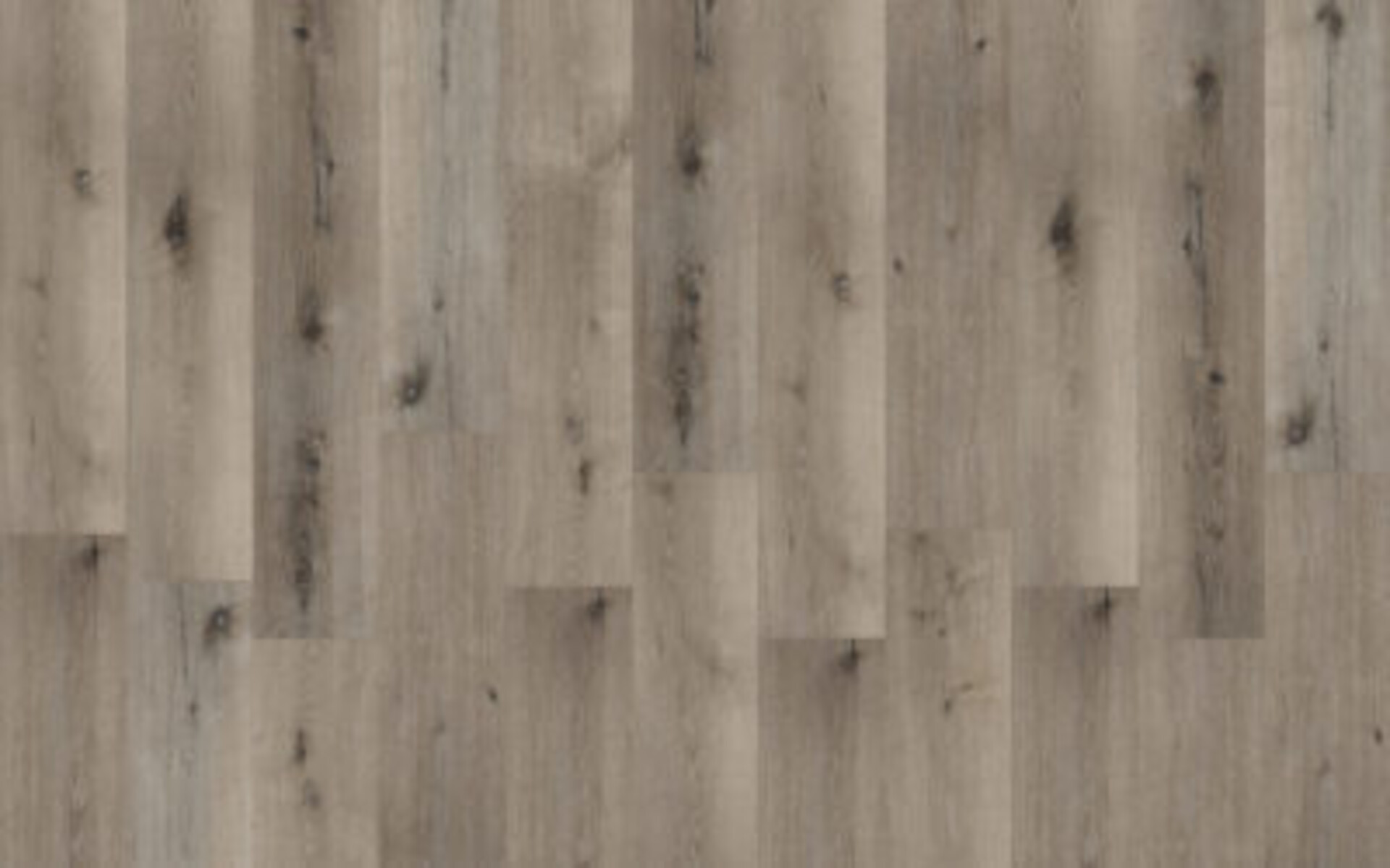 BeFloor Evo Rg distribution Pavimenti in spc