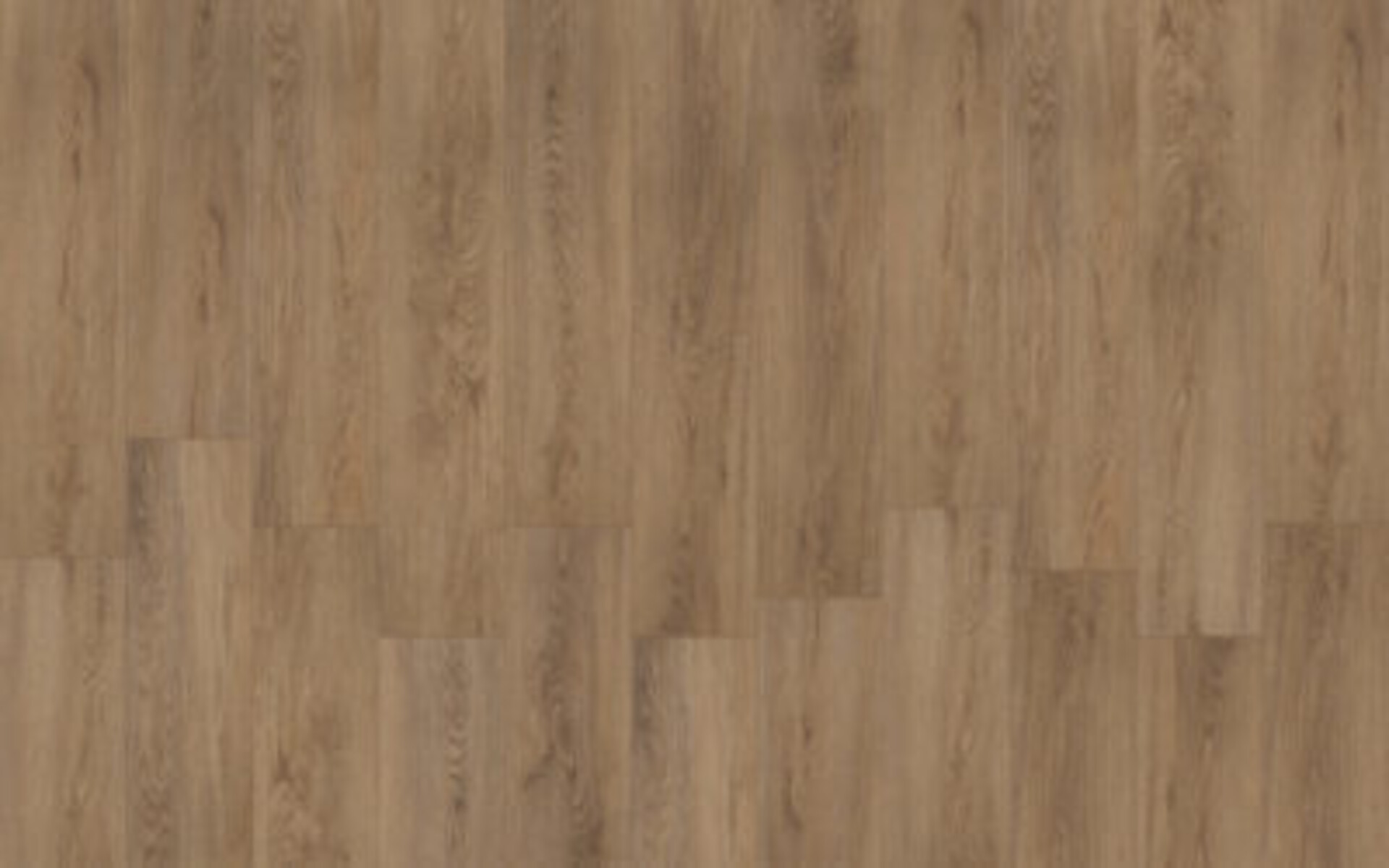 BeFloor Evo Rg distribution Pavimenti in spc