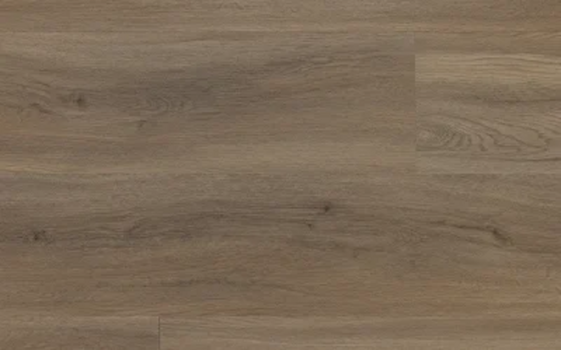 Excellence L Rg distribution Pavimenti in spc