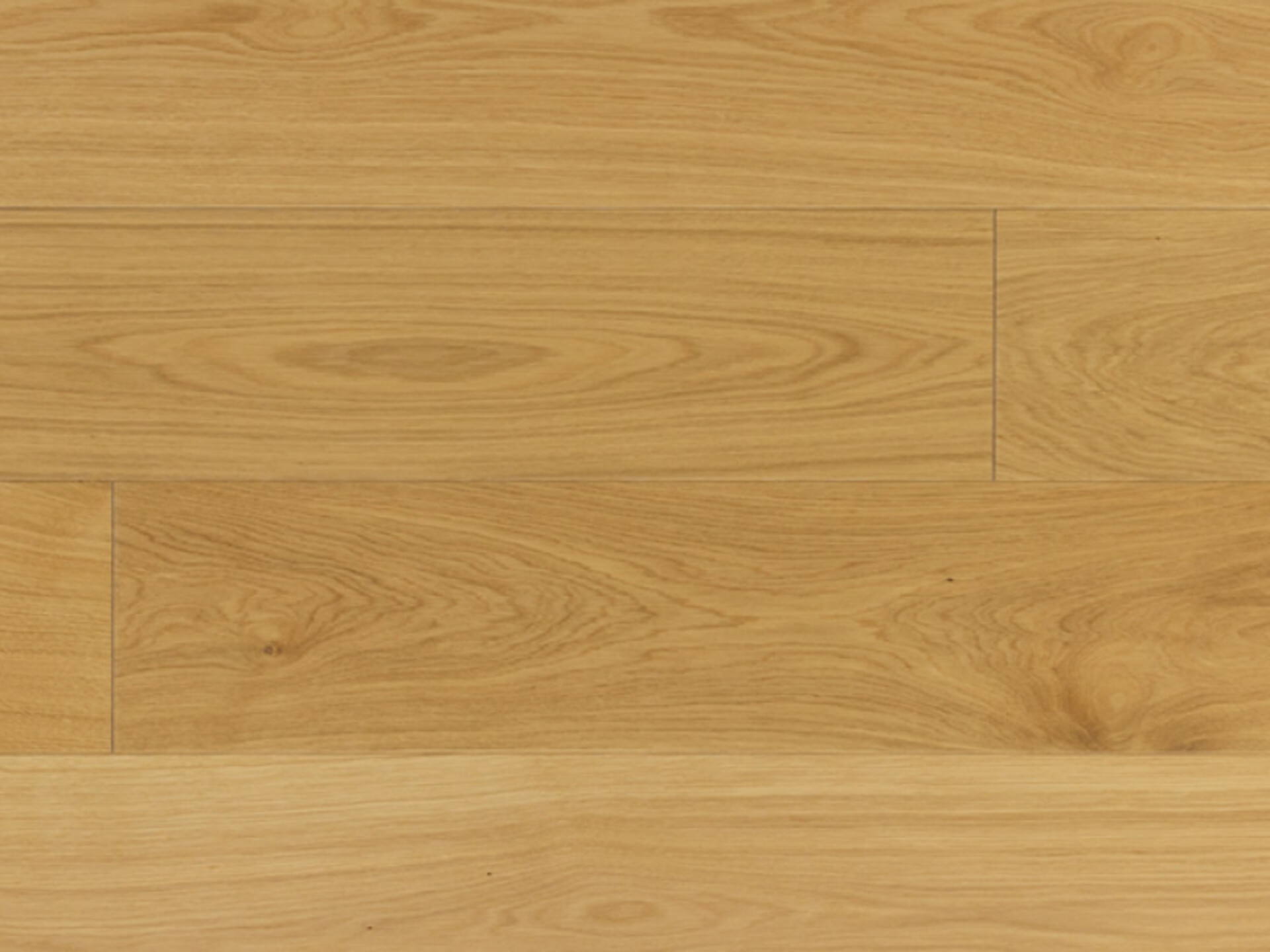 Cosmo Rg distribution parquet