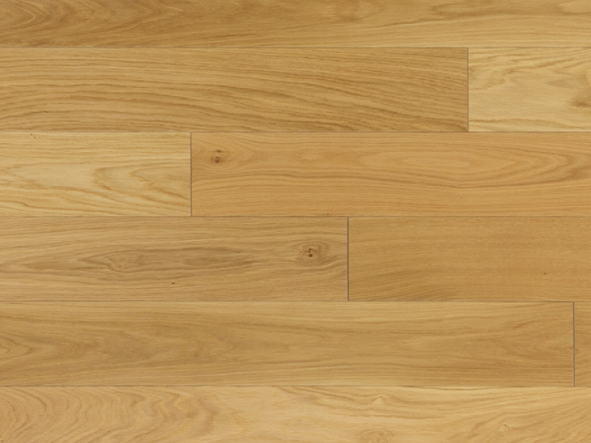 Cosmo Rg distribution parquet
