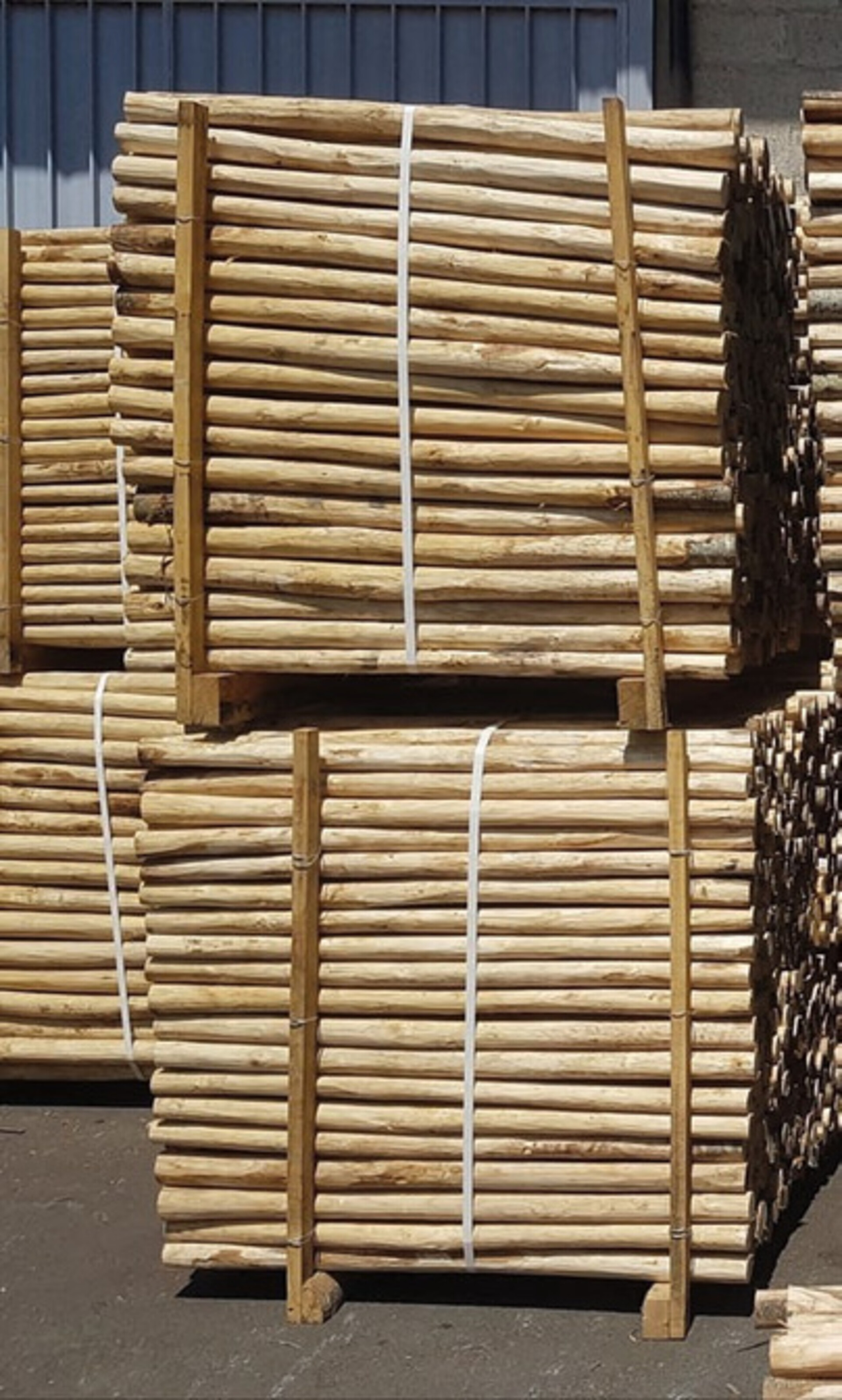 Palo di castagno scortecciato 100 cm Ø 2/4 cm ELLEURBAN Palo tondo Ø 2/4