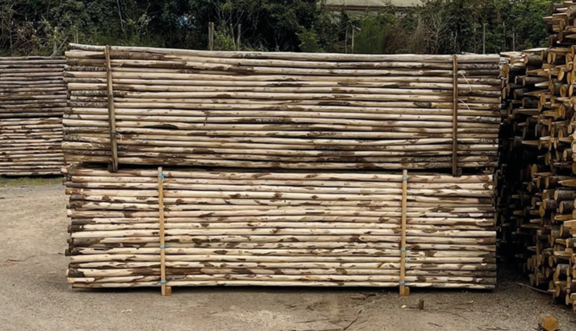 Palo di castagno scortecciato 300 cm Ø 4/6 cm ELLEURBAN Palo tondo Ø 4/6
