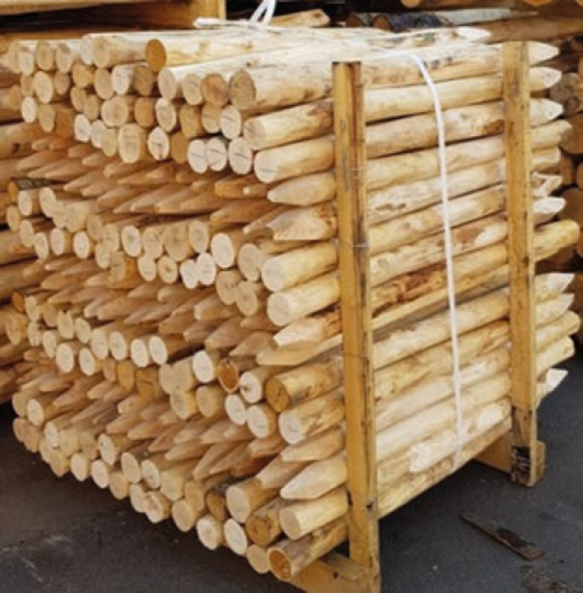 Palo di castagno scortecciato 150 cm Ø 8/10 cm ELLEURBAN Palo tondo Ø 8/10