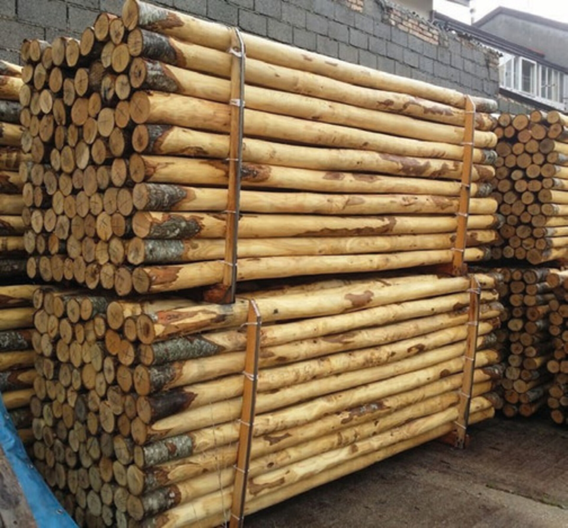 Palo di castagno scortecciato 300 cm Ø 10/12 cm ELLEURBAN Palo tondo Ø 10/12