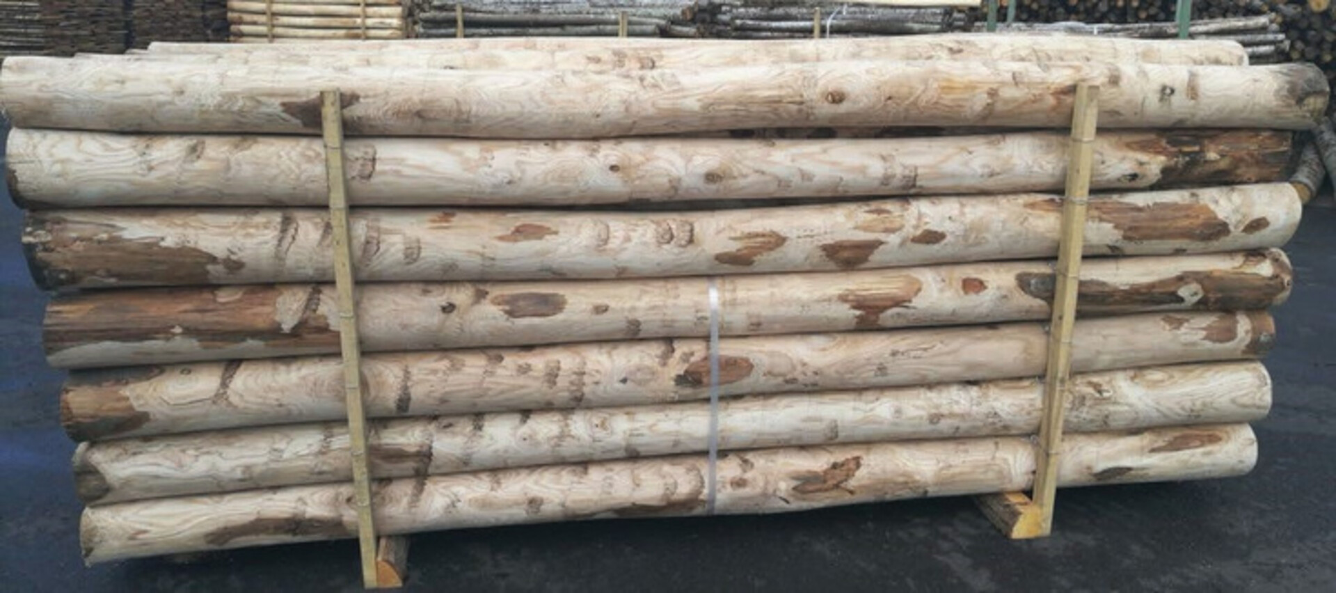 Palo di castagno scortecciato 250 cm Ø 13-14/16 cm ELLEURBAN Palo tondo Ø 13-14/16