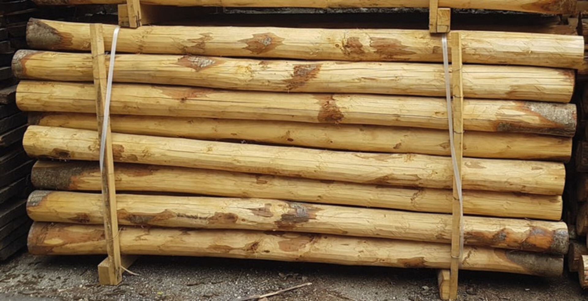 Palo di castagno scortecciato 250 cm Ø 13-14/16 cm ELLEURBAN Palo tondo Ø 13-14/16