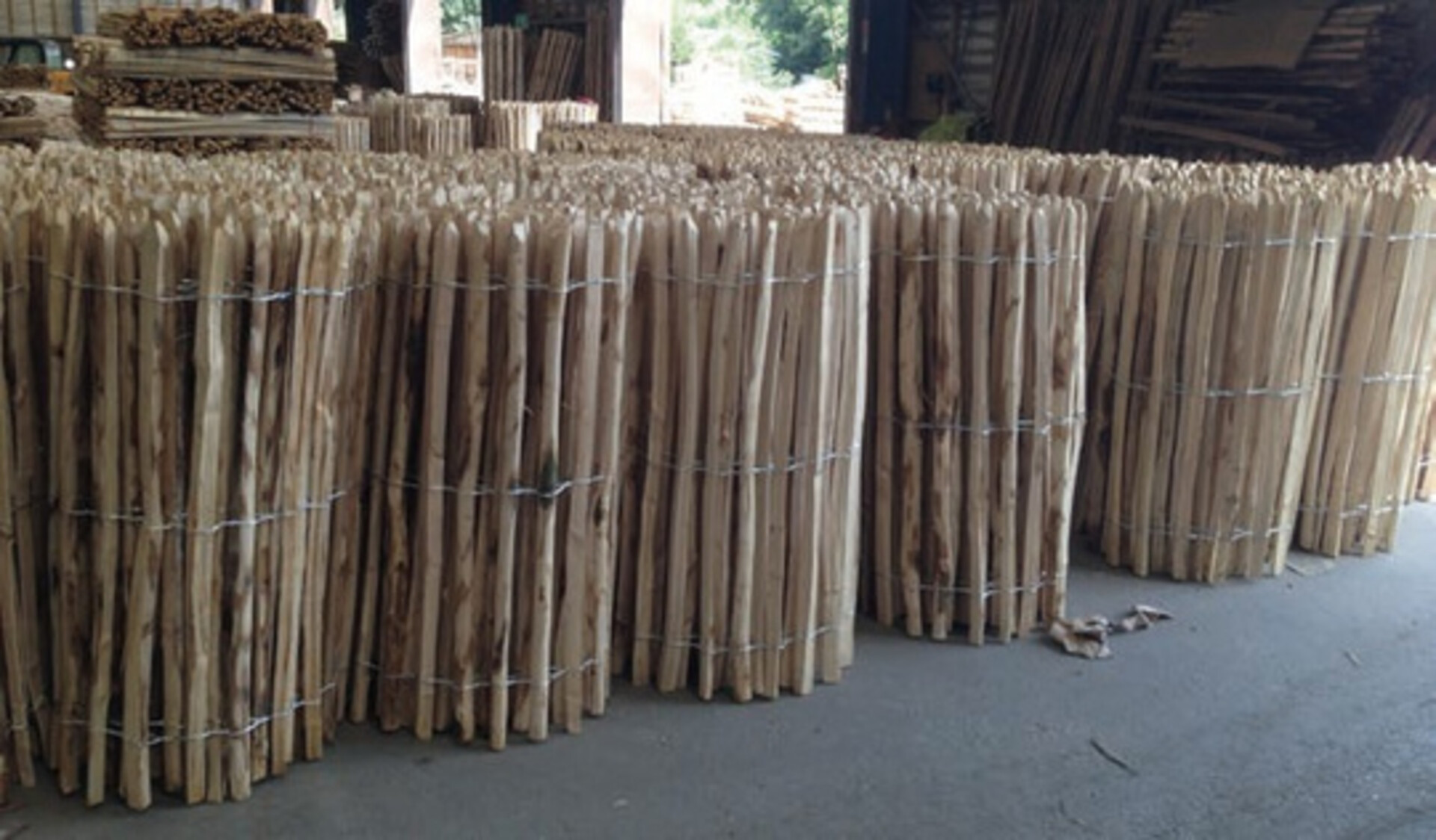 Ganivelle in castagno altezza 150 cm Ø 5/6 cm ELLEURBAN Ganivelle h150