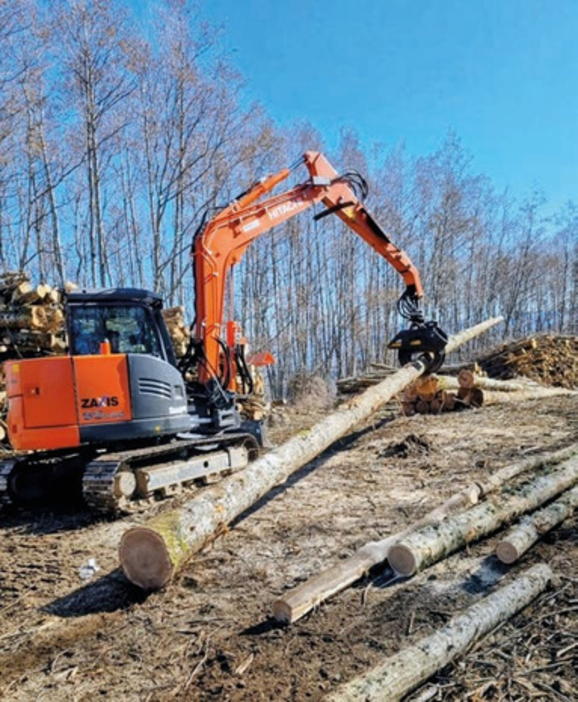 Trave grezza in castagno - tondo di castagno per strutture ELLEURBAN Trave grezza