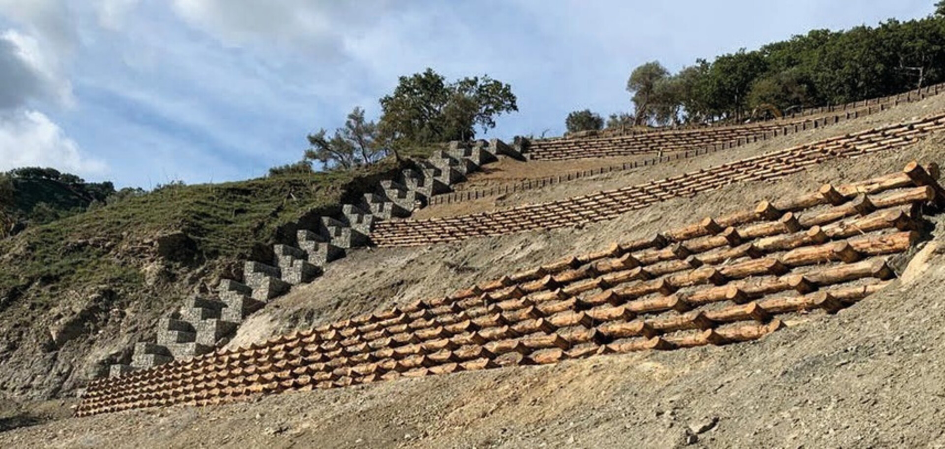 Pali di castagno per ingegneria naturalistica e palificate ELLEURBAN Fornitura su progetto