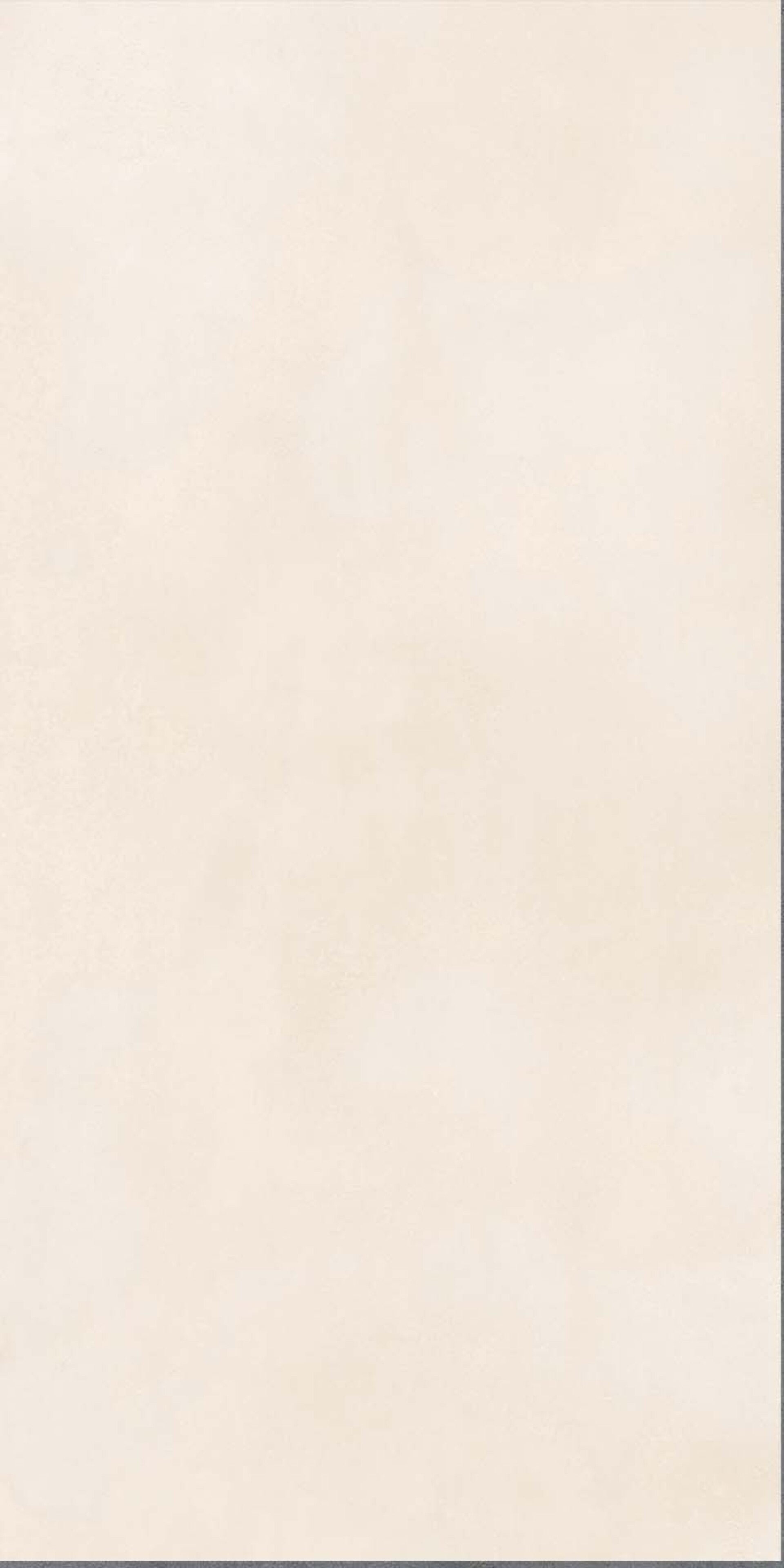CRUDA Avorio 60x120 Cruda J937331PB495