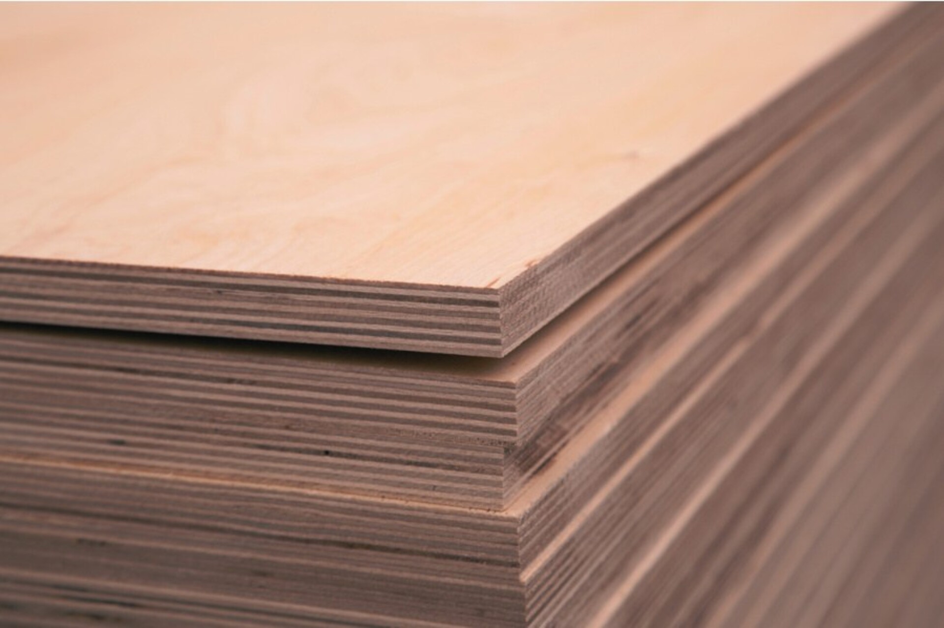 Pannello multistrato in okumè 25x3100x1530 mm Gaspare Mirrione Multistrato okumè