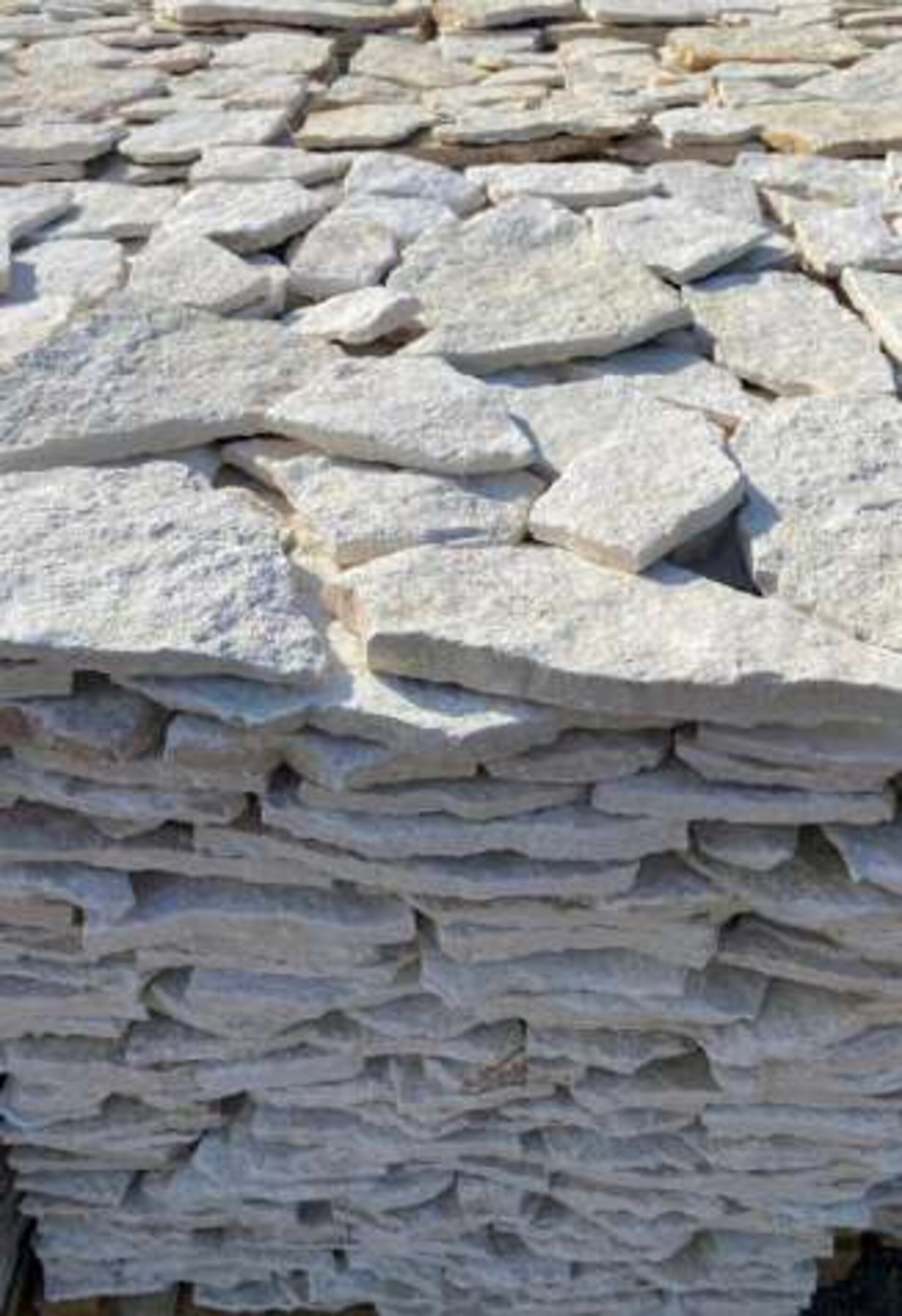 Scorza Grezza da Rivestimento Bifacciale spessore cm 1/3 Gjini Argjendi - Endi Pietra di Trani ART.001