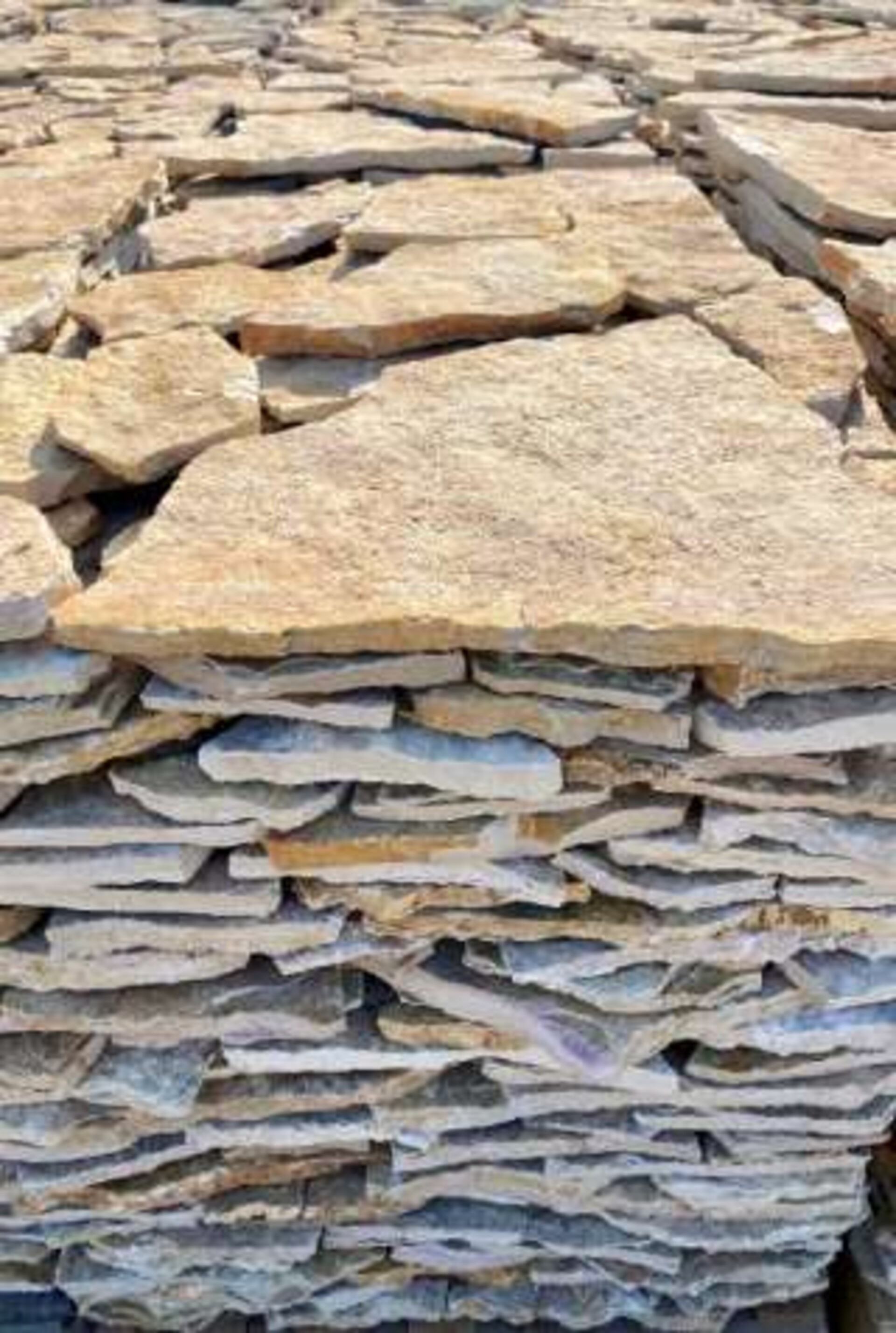 Scorza Grezza da Rivestimento Bifacciale spessore cm 1/3 Gjini Argjendi - Endi Pietra di Trani ART.001