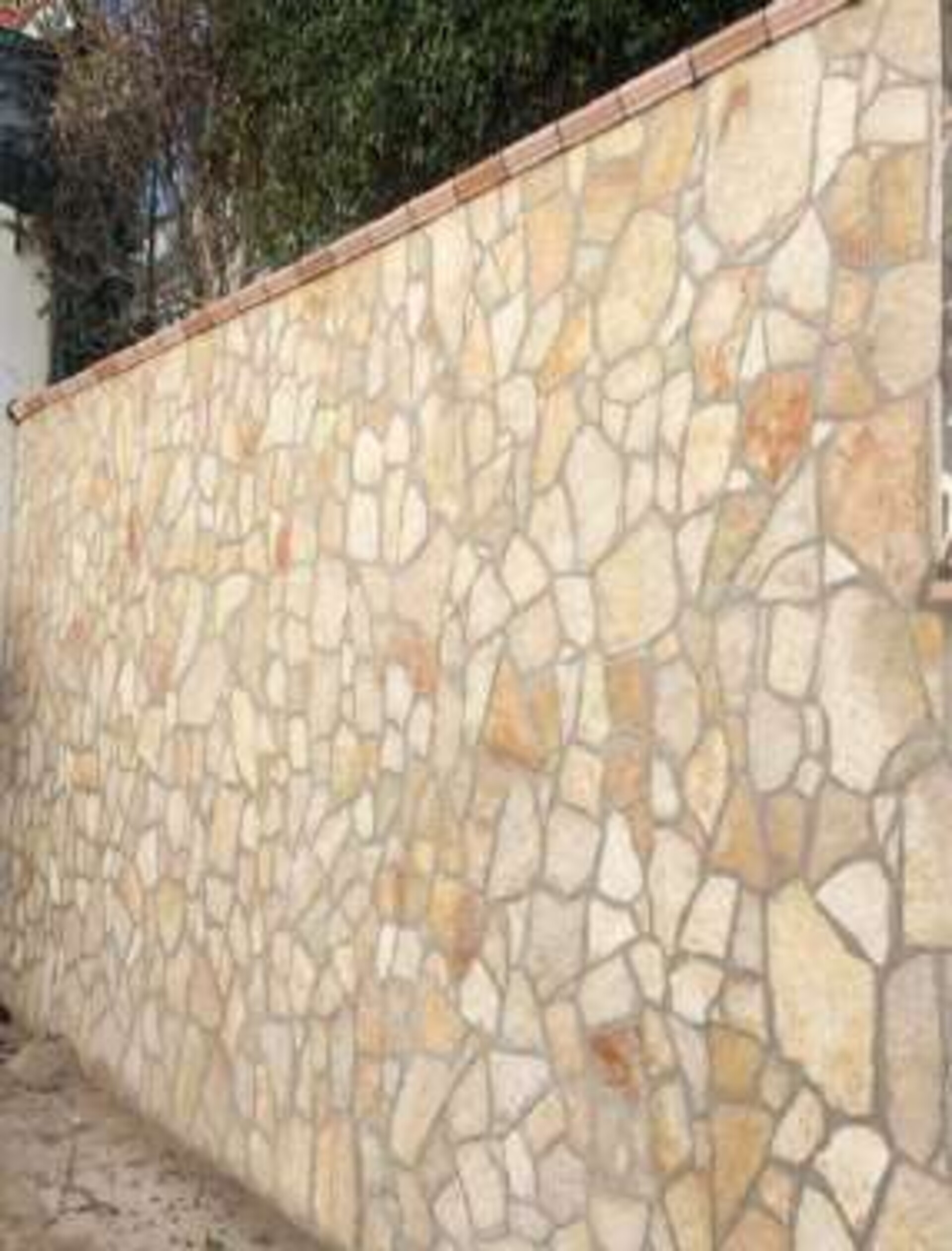 Scorza Retrosegata Grezza spessore cm 1.5 Gjini Argjendi - Endi Pietra di Trani ART.002