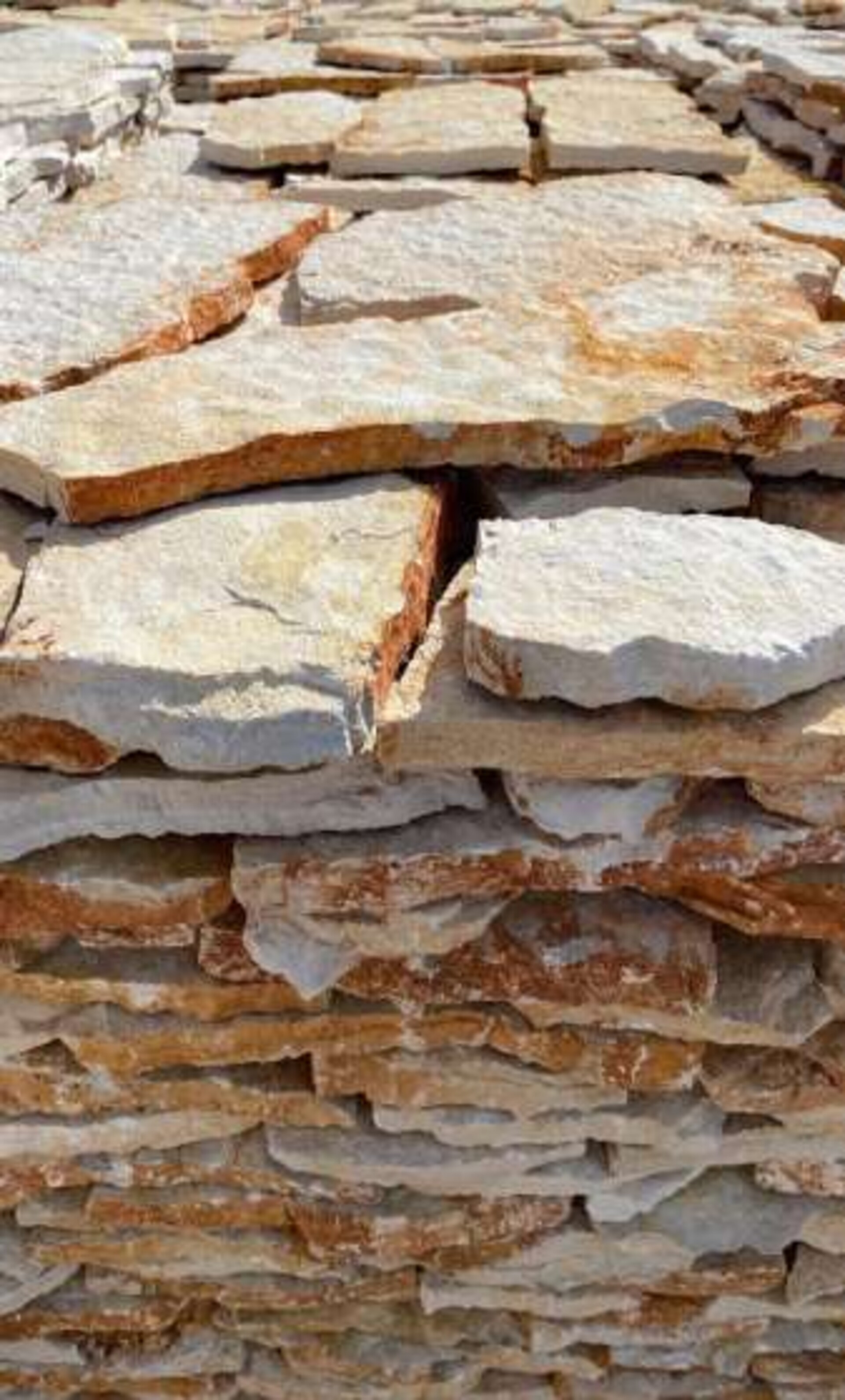 Scorza Grezza da Rivestimento e Pavimentazione Bifacciale spessore cm 2/4 Gjini Argjendi - Endi Pietra di Trani ART.008