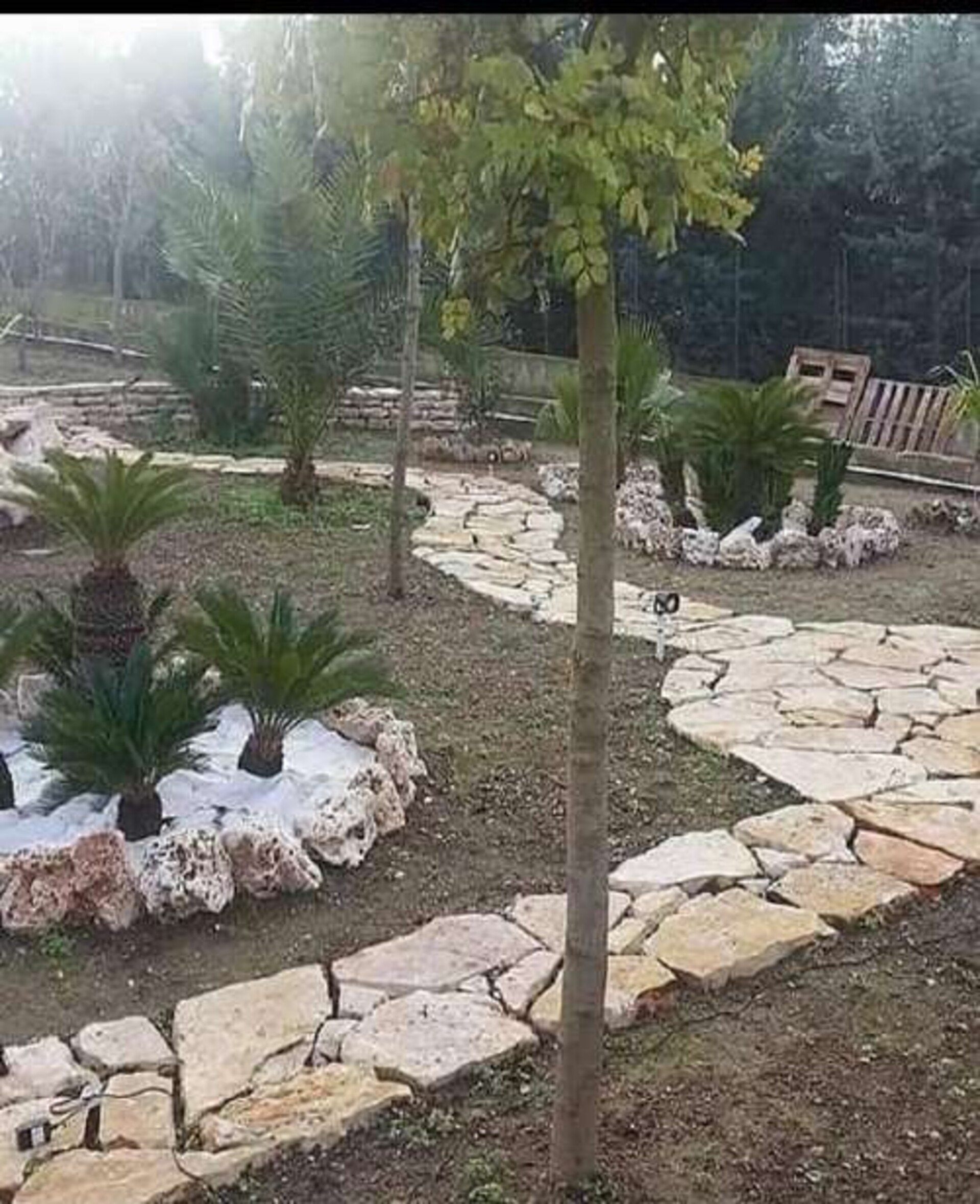Lastroni Giganti Grezzi spessore cm 4/6 Gjini Argjendi - Endi Pietra di Trani ART.014