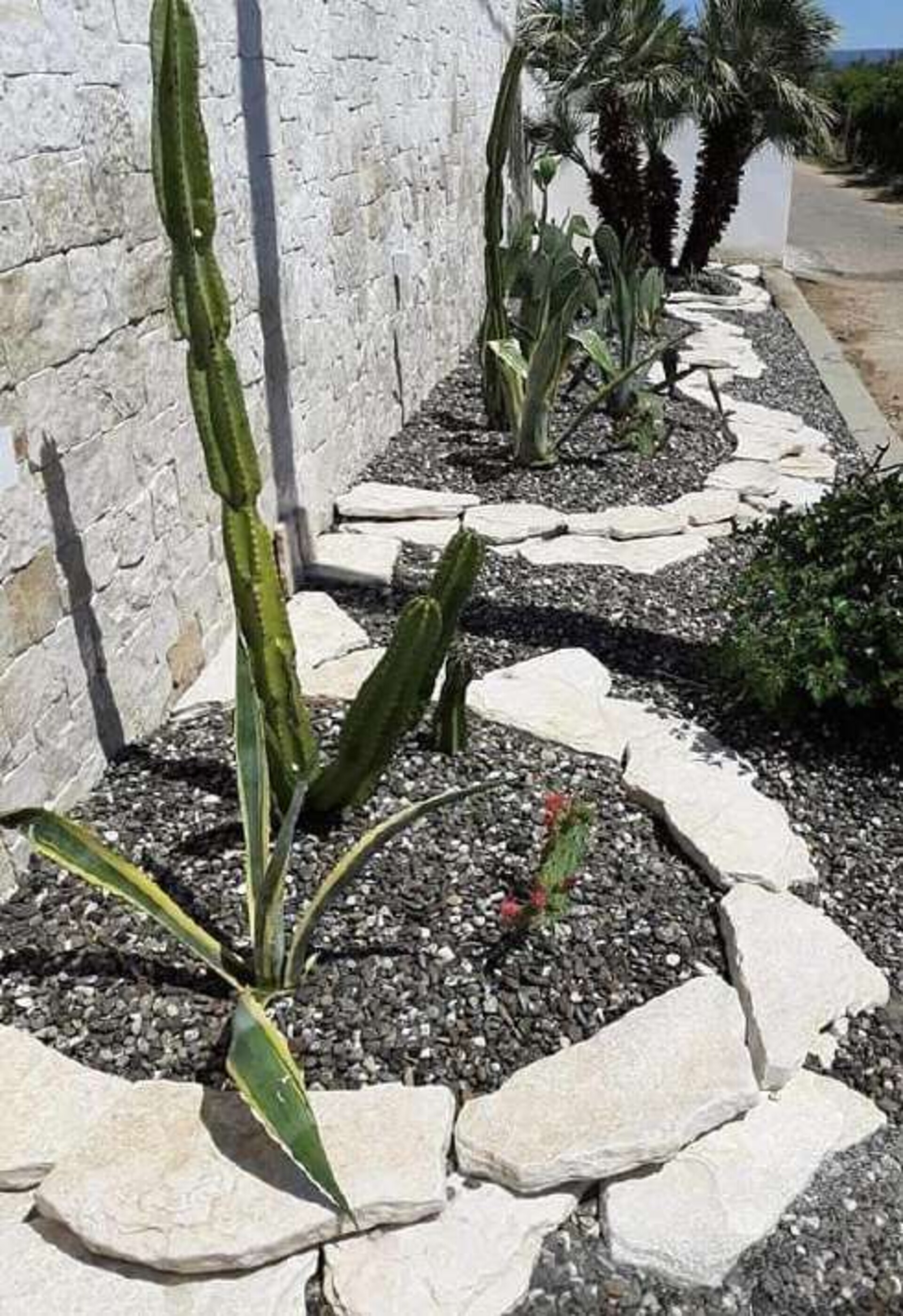 Lastroni Giganti Anticati spessore cm 4/6 Gjini Argjendi - Endi Pietra di Trani ART.015