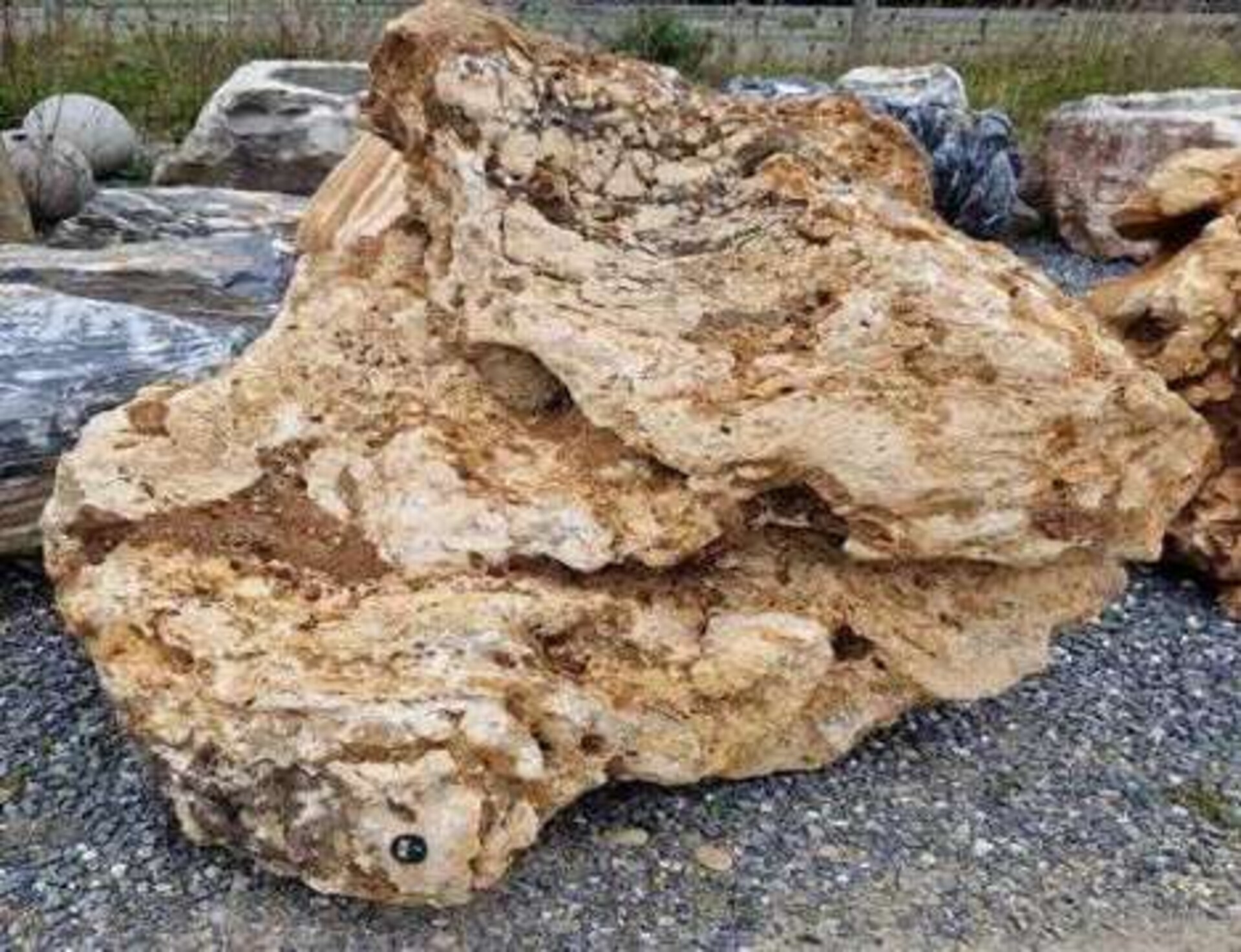 Rocce da Giardino Grandi Gjini Argjendi - Endi Pietra di Trani ART.096