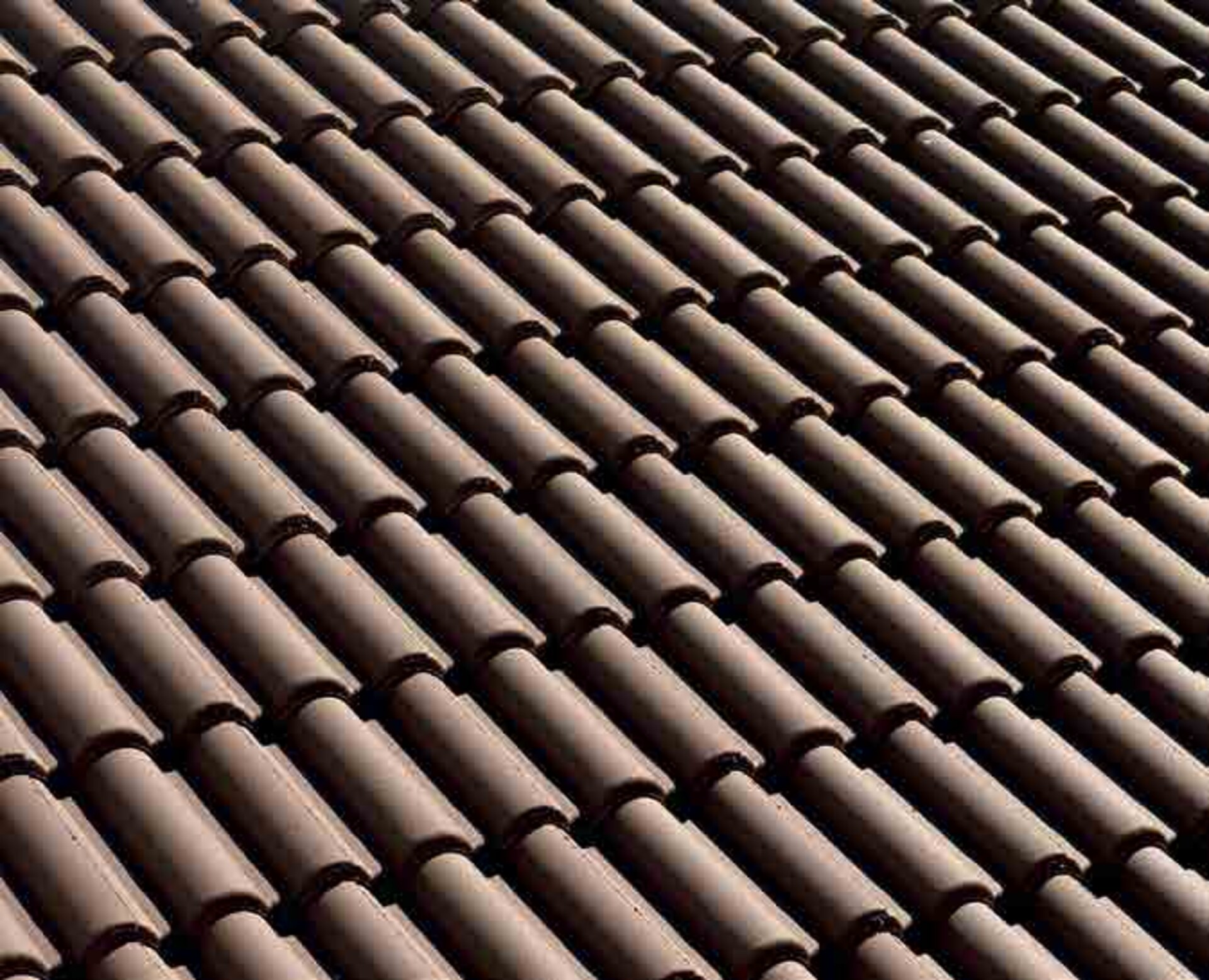 Coppo di Francia Liscia testa di moro BMI Wierer Coppo di Francia