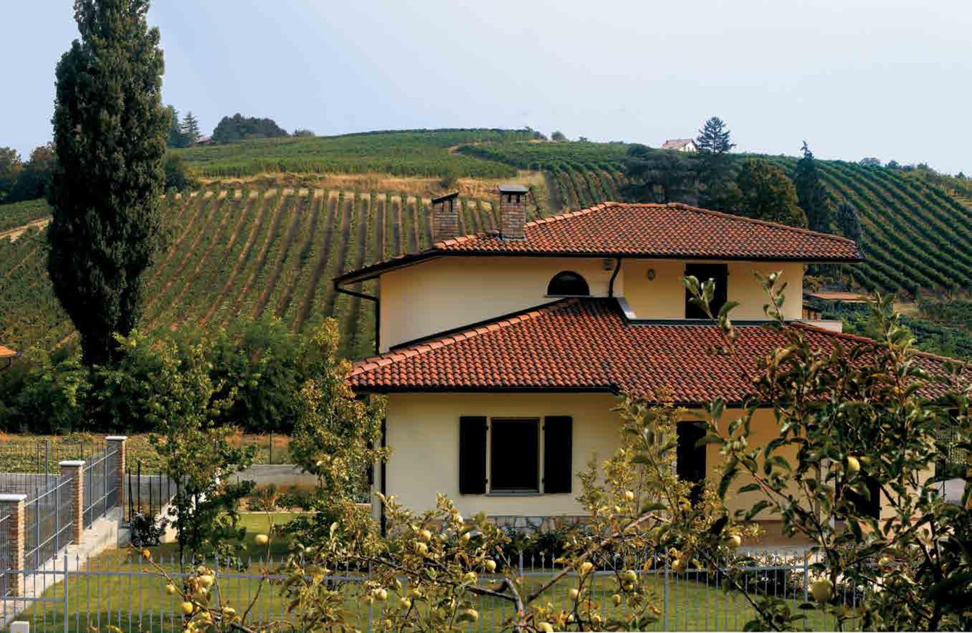 Coppo di Francia Granulata plus Nero Wierer Coppo di Francia