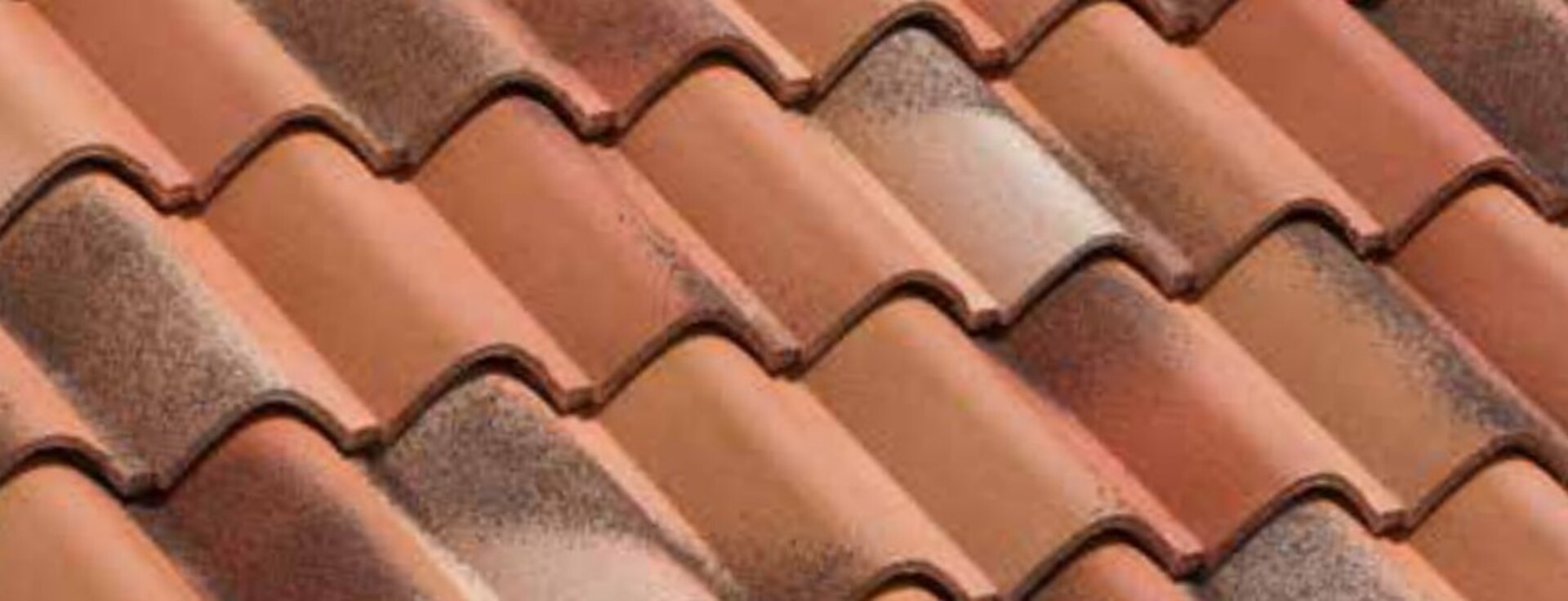 Coppo del Borgo Prestige roccantica fiammato BMI Wierer Coppo del Borgo