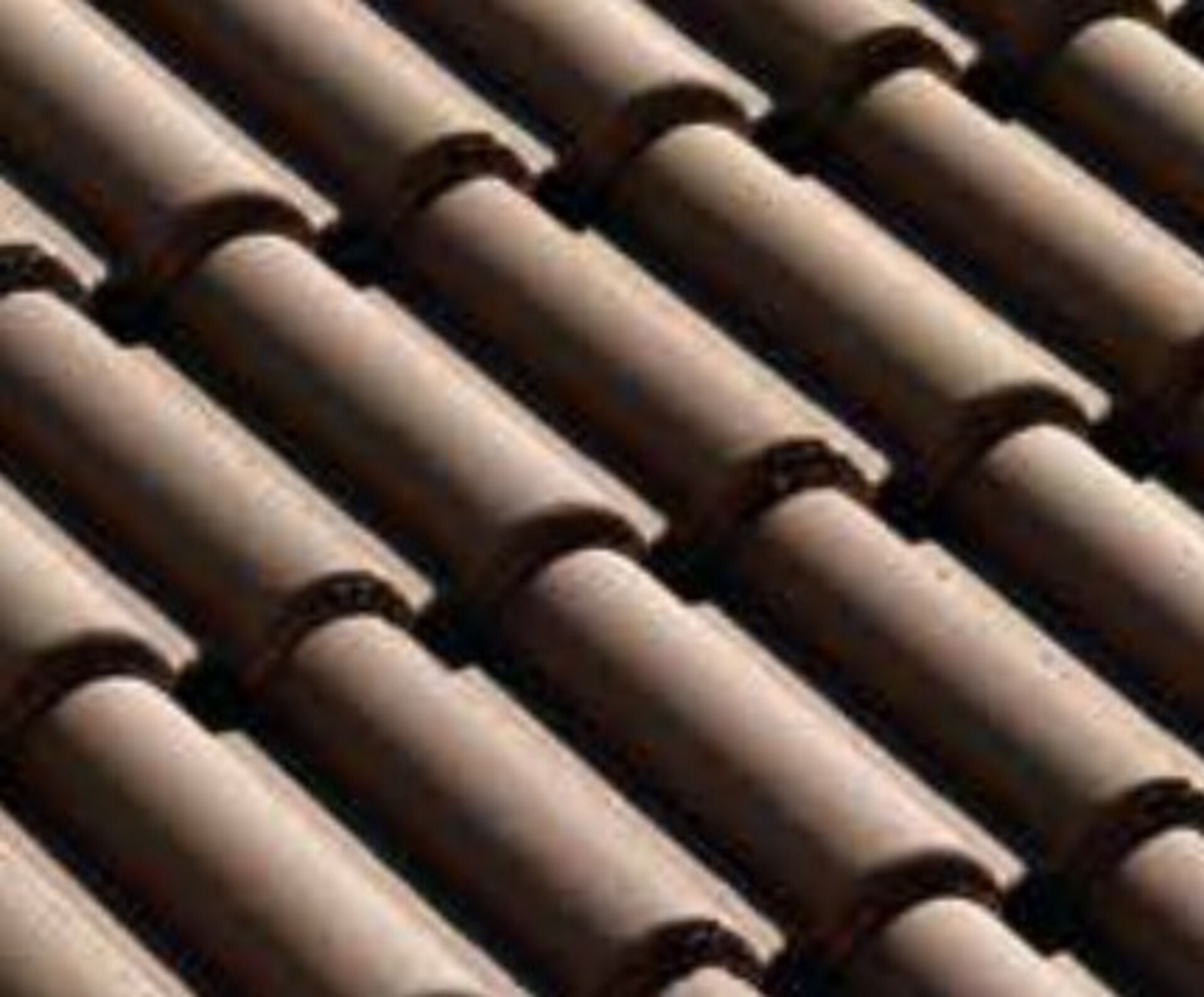 Coppo di Francia Liscia testa di moro BMI Wierer Coppo di Francia
