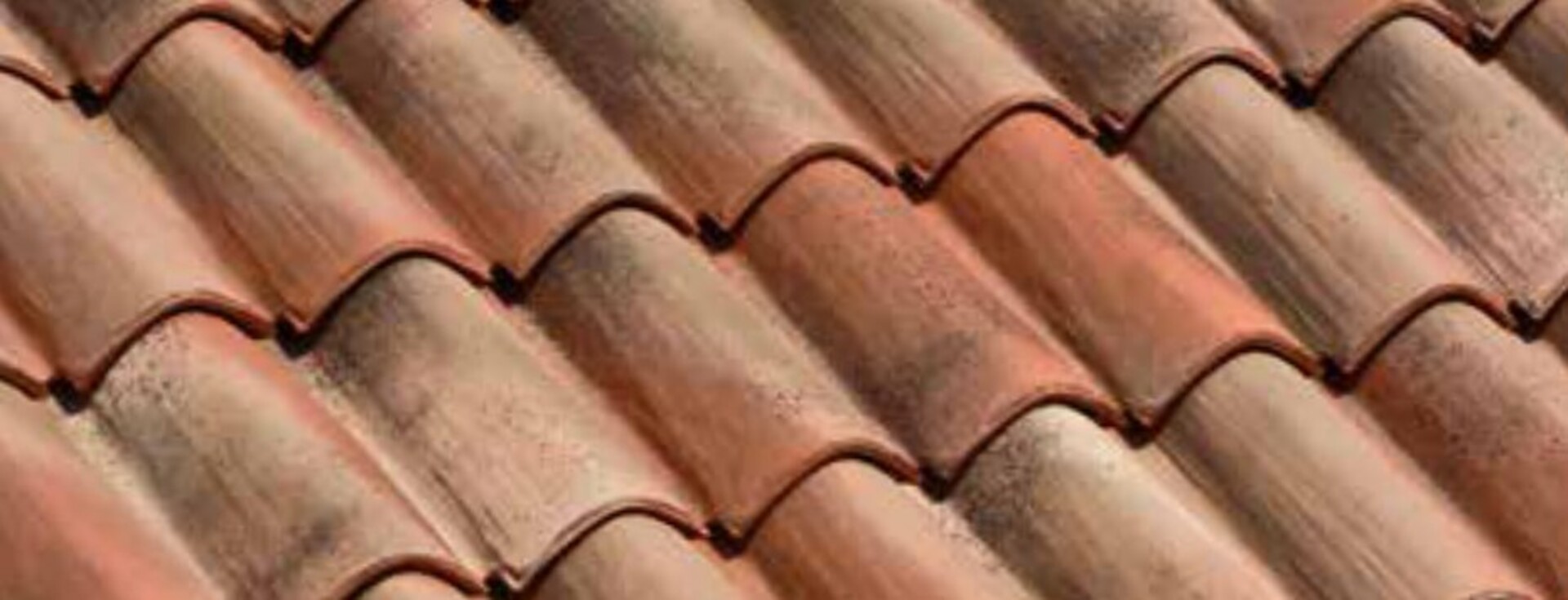 Coppo Domus Rustico andaluso BMI Wierer Coppo Domus