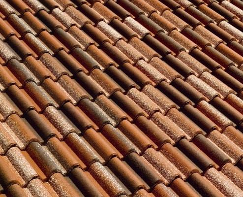 Coppo di Grecia BMI Wierer Coppo di Grecia