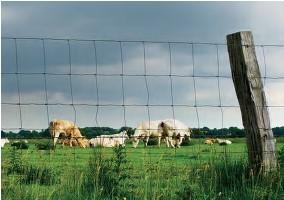 RETE AGROPASTORALE