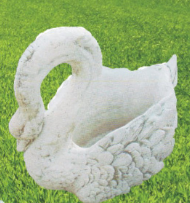 Cigno grande