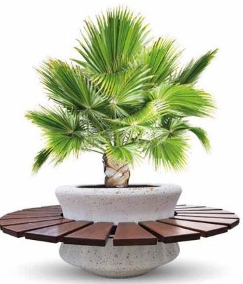 Panchine in cemento Festopolis