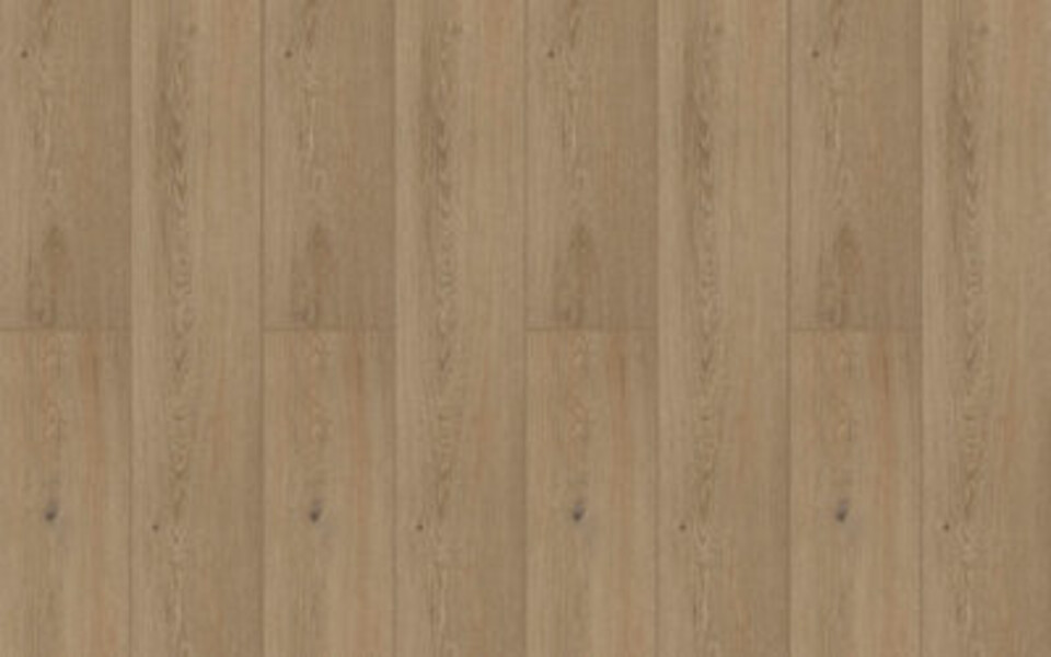 BeFloor Plus Rg distribution Pavimenti in spc